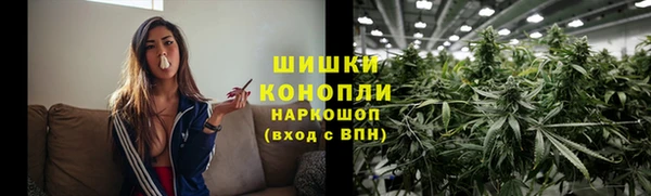 гашик Богородицк