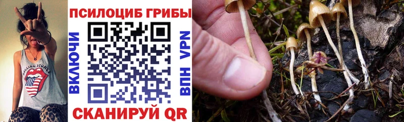 Псилоцибиновые грибы мицелий купить цена Каменск-Уральский